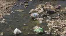 Cleanup campaign of Zarqa river