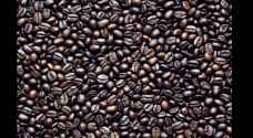 Audit Bureau: 20,000 kg infested coffee approved by Customs