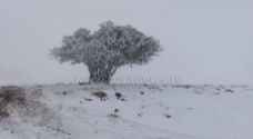 Polar front affects Jordan, accompanied by rain, snow