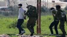 Israeli Occupation detains eight Palestinians