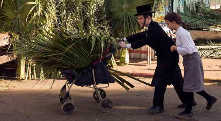 Gaza exports palm leaves to Israel for Jewish feast