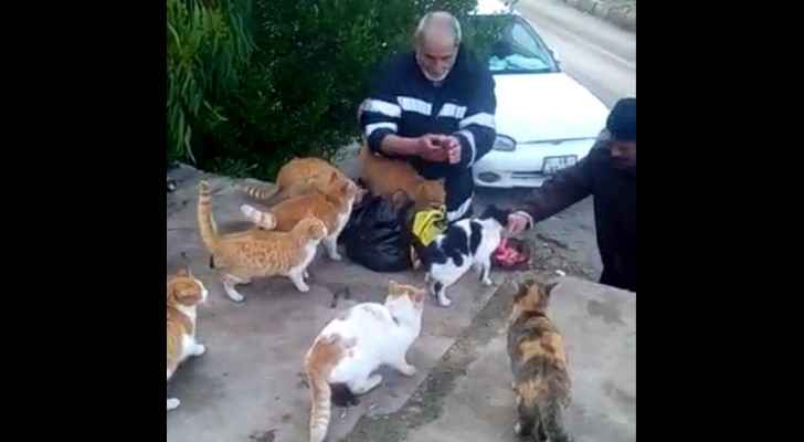 Ghassan feeding street cats in Jordan. (Screenshot)