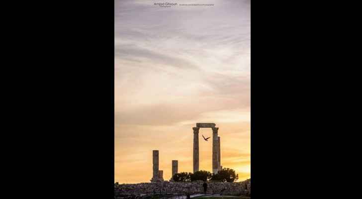 A bird is seen flying between the giant pillars of the Amman Citadel. (Photo by Amjad Ghsoun)