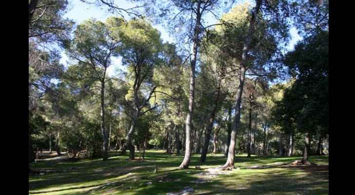 There are currently 140 public parks in the capital. (Jordan Times)