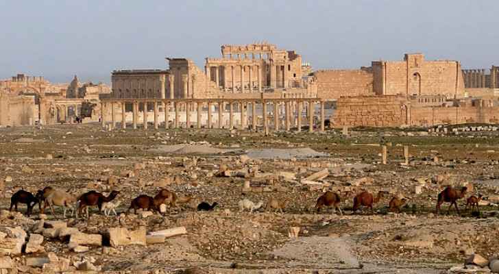Palmyra ruins in 2010 (Wikipedia)