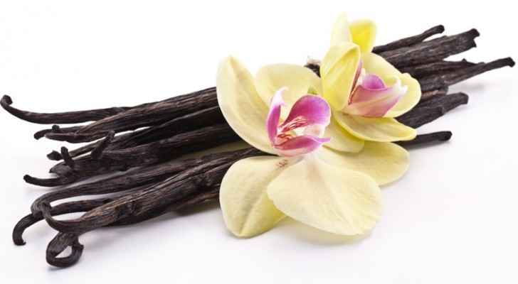 Vanilla comes from vanilla orchids. (IEG Vu - Informa)