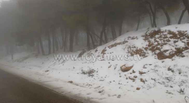 In pictures: Snow covers areas of Tafilah governorate