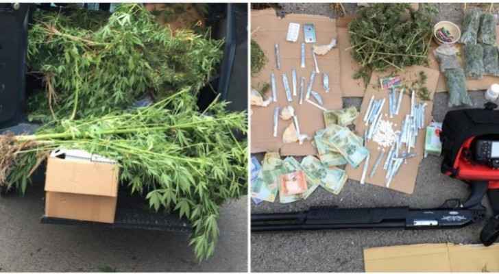 Eight drug dealers  in possession of large quantities of marijuana arrested in south Shouneh