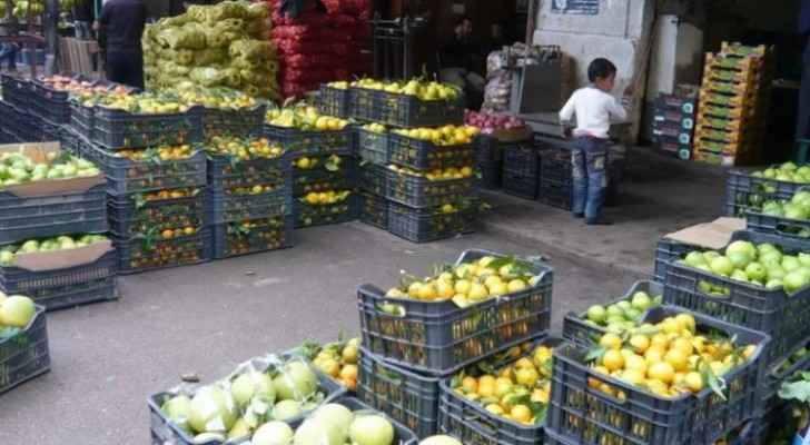 Agriculture Ministry bans Jordanian sailors from bringing Syrian fruits, vegetables to Jordan