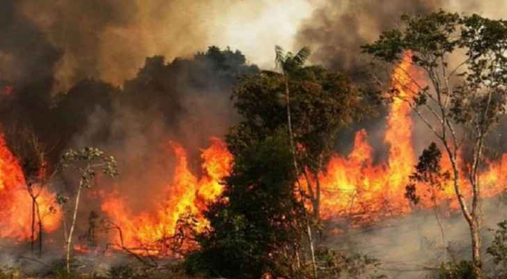Videos: Amazon rainforest on fire
