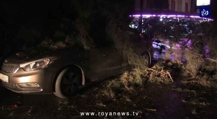 Watch tree falls on car in Irbid due to strong winds
