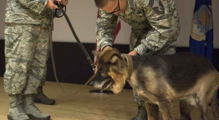 No more US sniffer dogs to Jordan after deaths