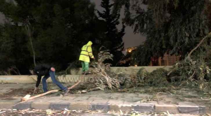 Parts of tree fall on a street in Amman due to strong winds
