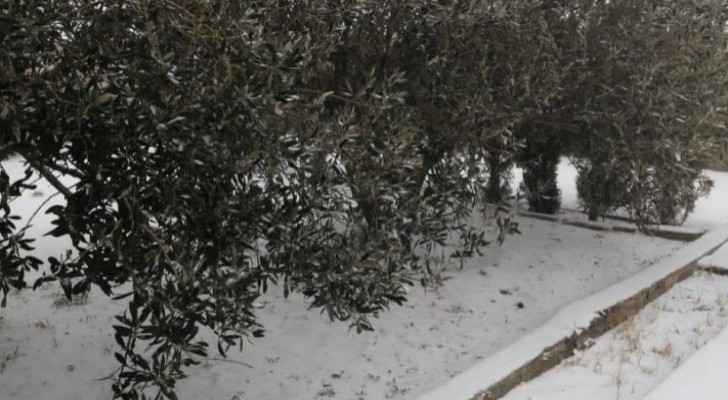 Photos: Snowfall in southern Jordan this morning