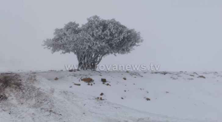 School closures in Shobak due to snow