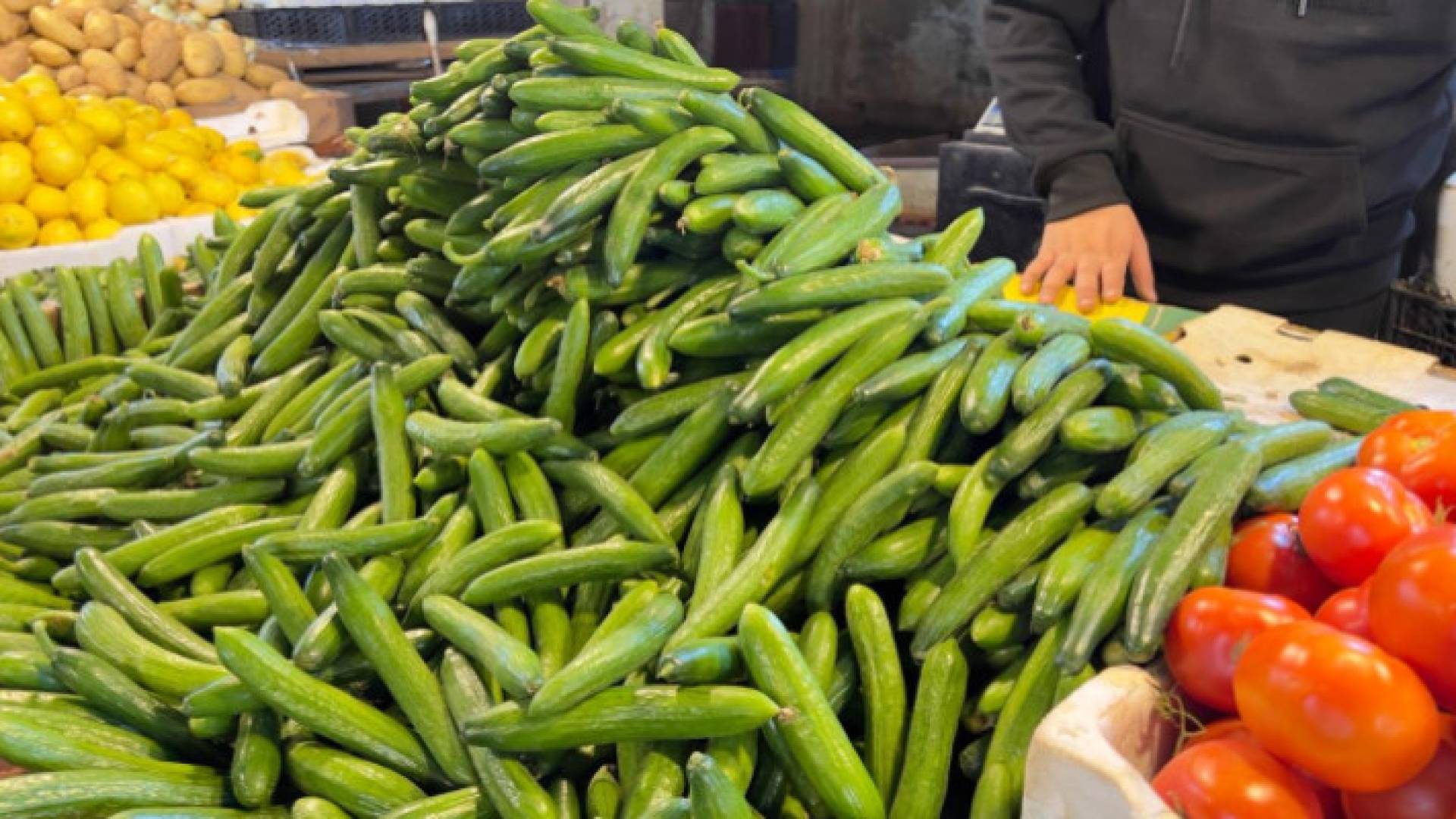 Cucumber prices skyrocket to JD 1.25 per kilogram