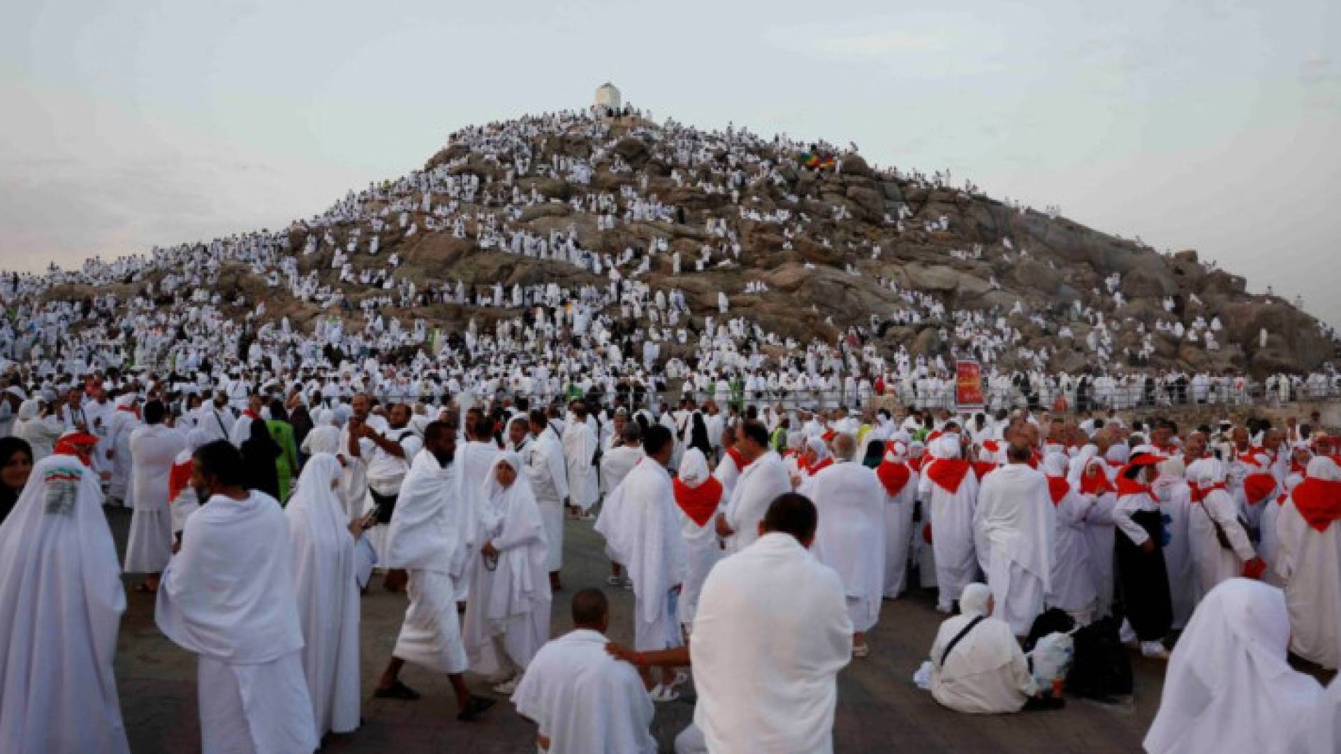 Ministry of Awqaf suspends operations of 18 Hajj travel companies