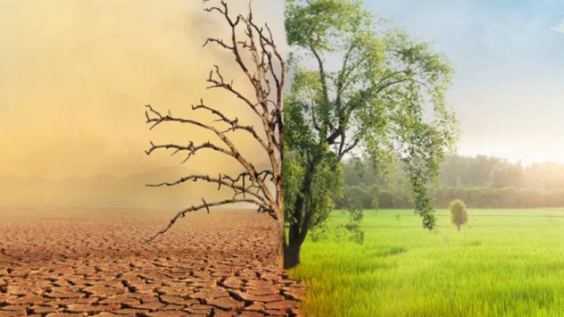 La Niña set to impact Jordan's winter