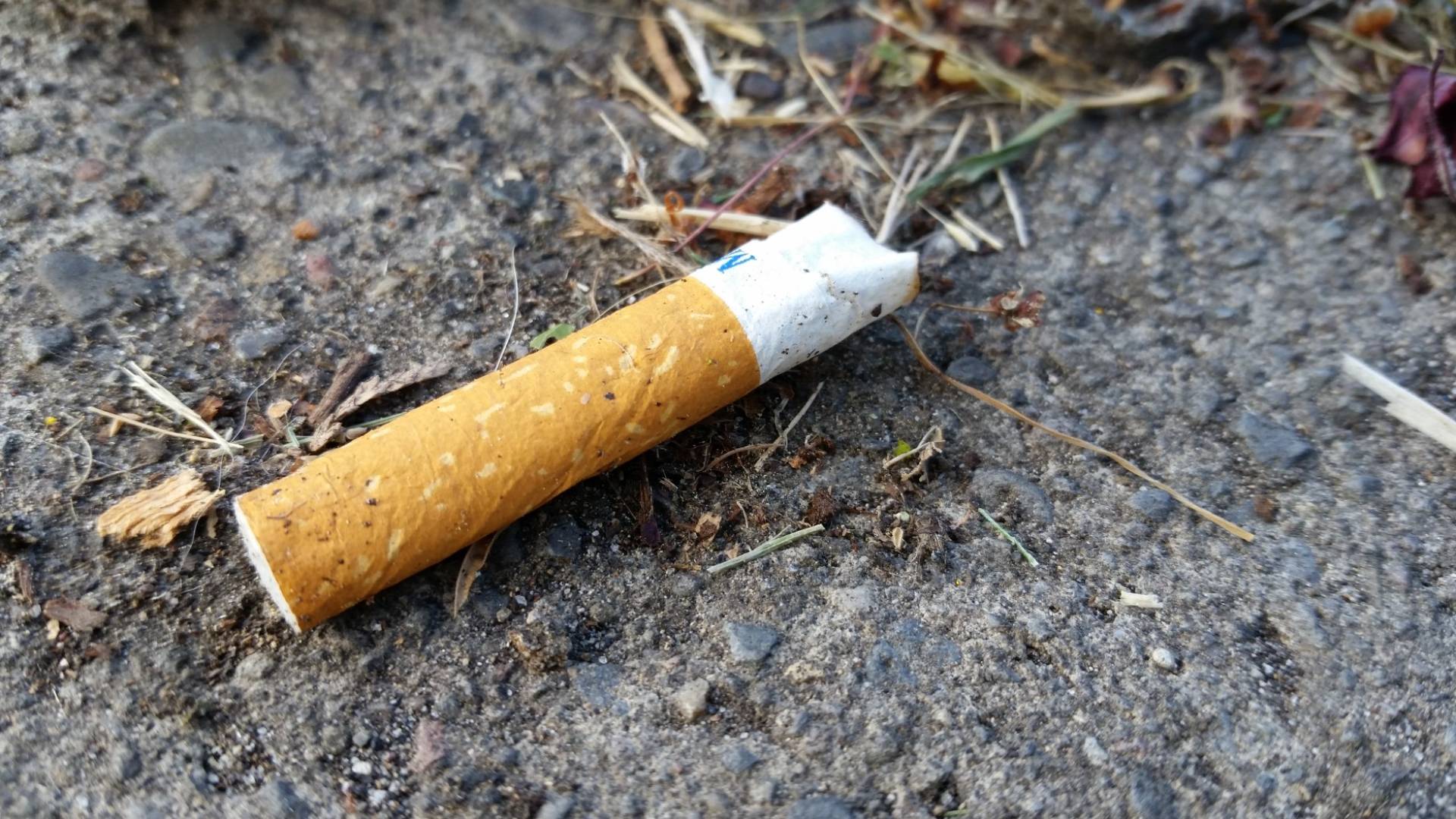 Decades-old murder case in US solved using DNA from cigarette butt