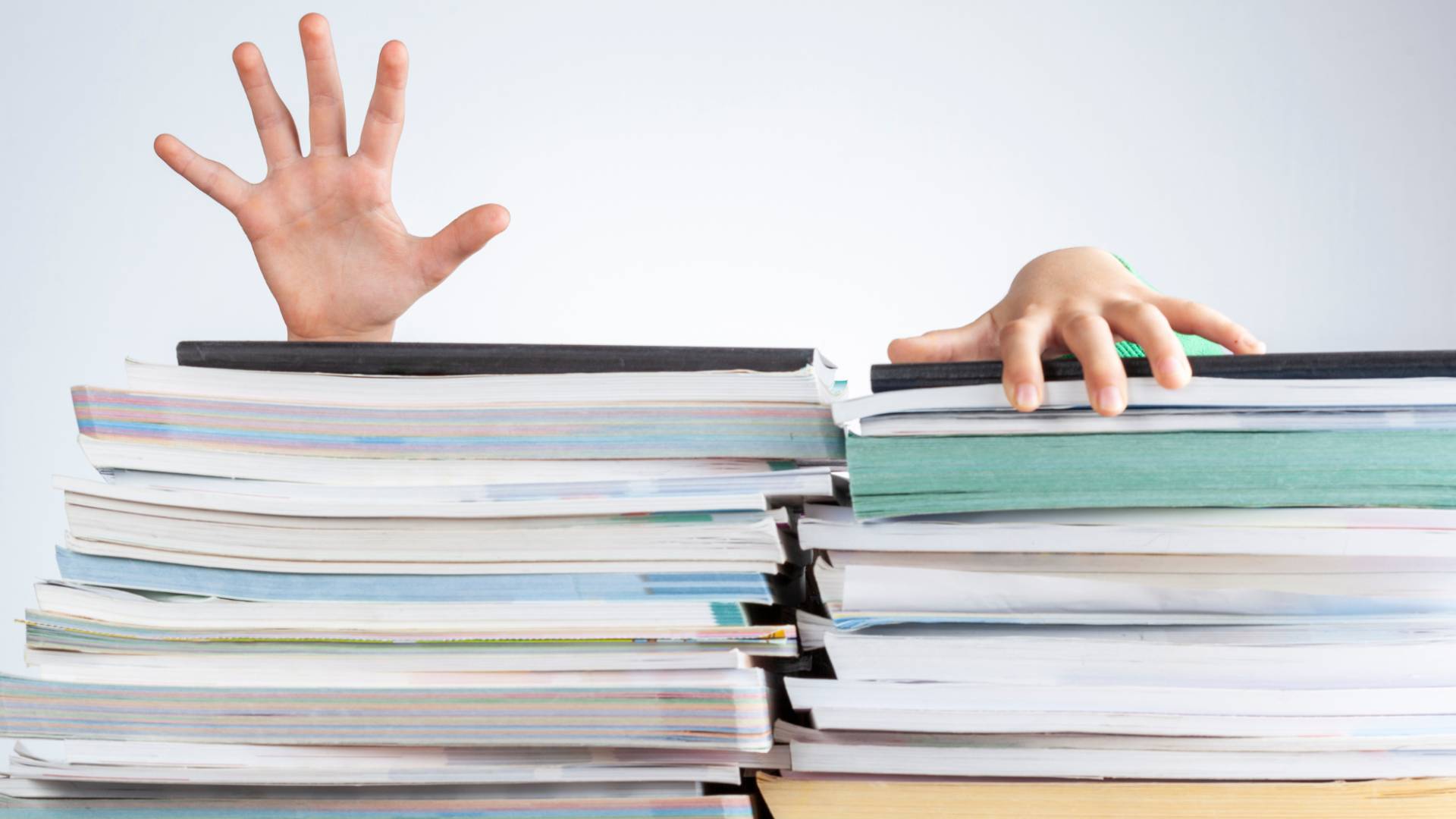 National Center responds to backlash over curriculum choices