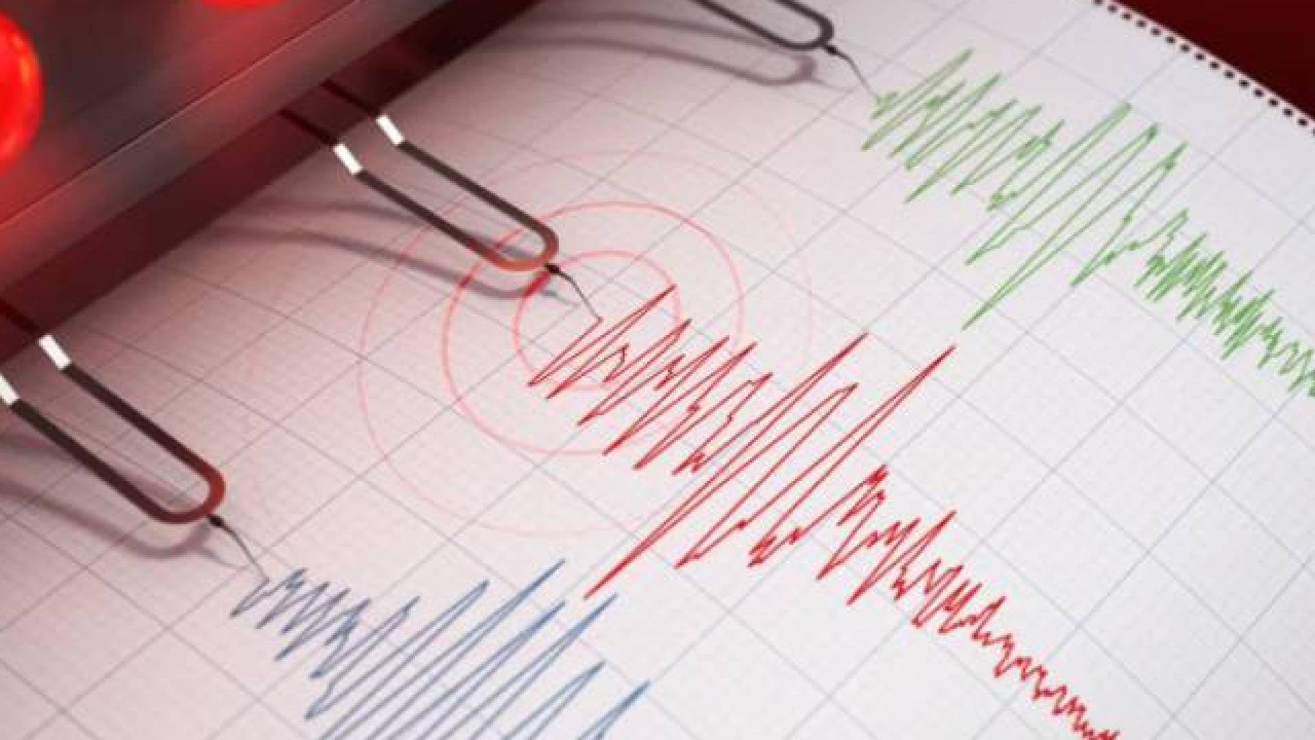 Minor earthquake recorded near Dead Sea, no damage reported
