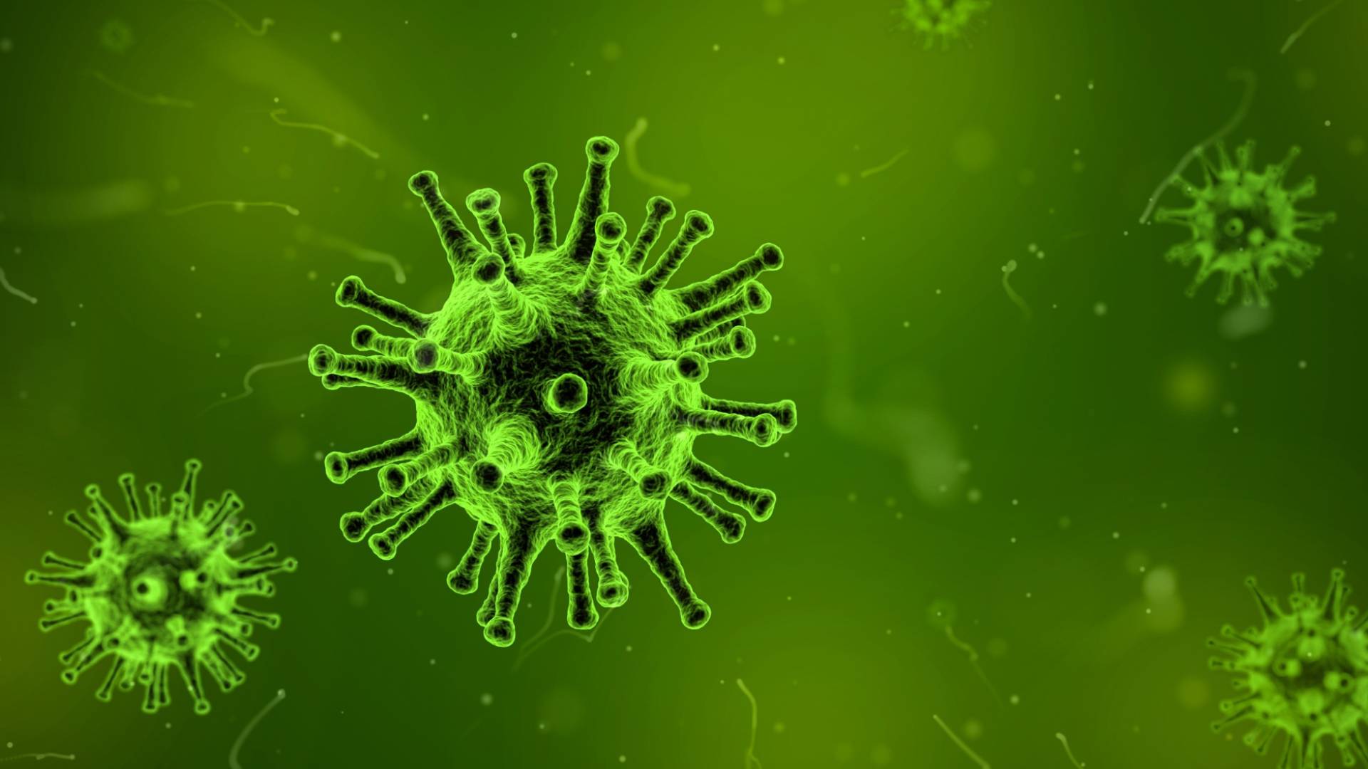 HMPV: Widespread panic as new virus spreads in China