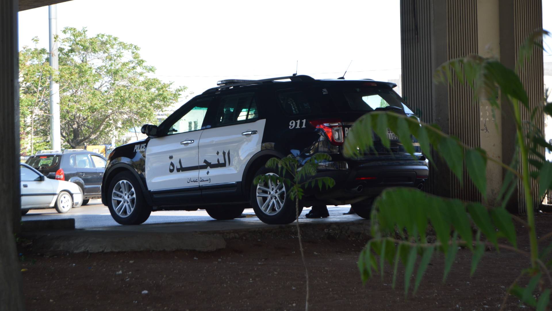 Young man found dead in forest in Jerash