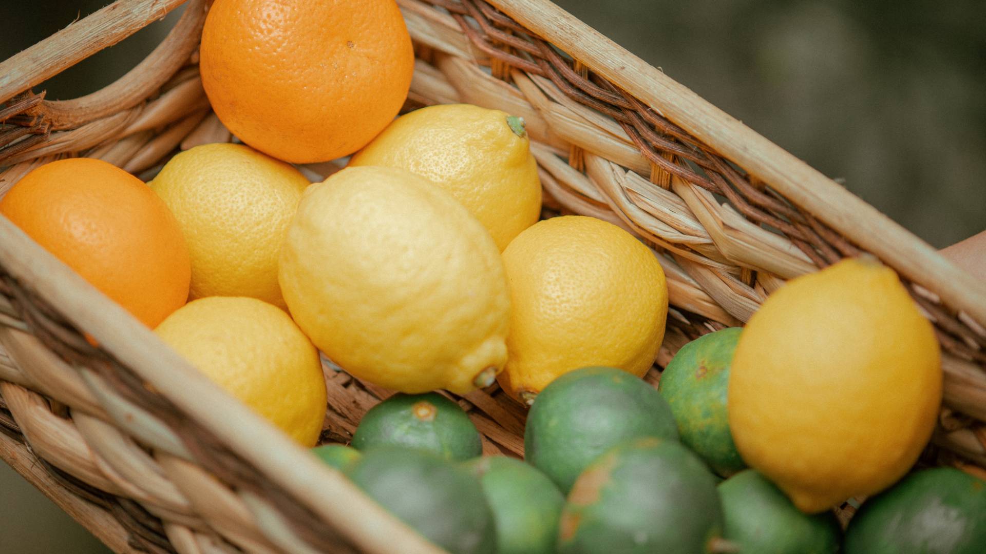 Jordan to boost citrus industry with new packaging, cooling center