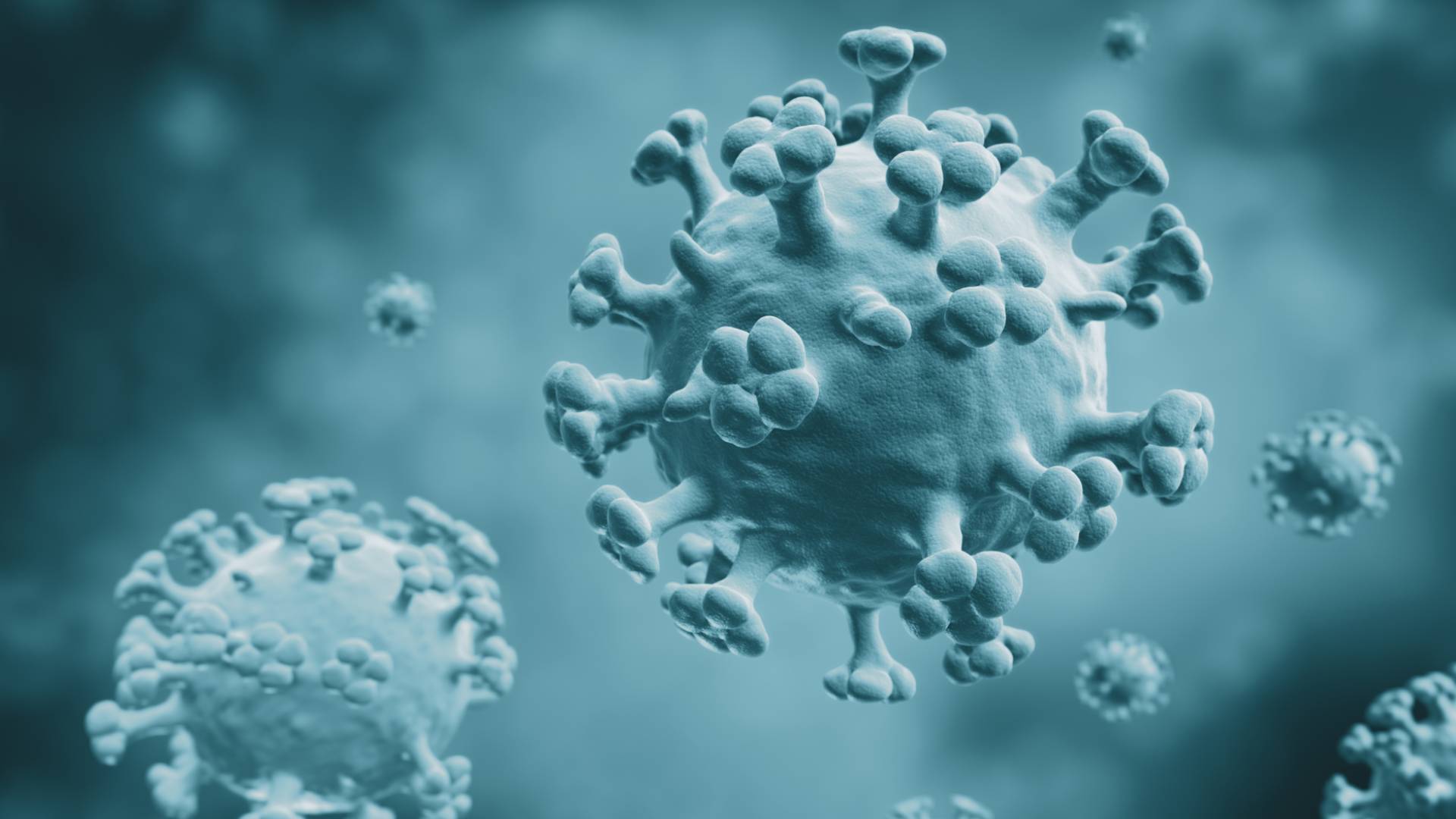 UK confirms “rare” human case of bird flu