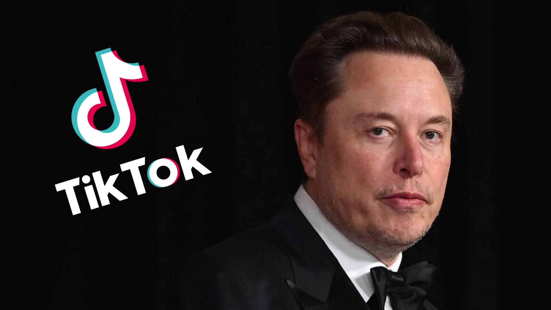 Elon Musk expresses no interest in purchasing TikTok