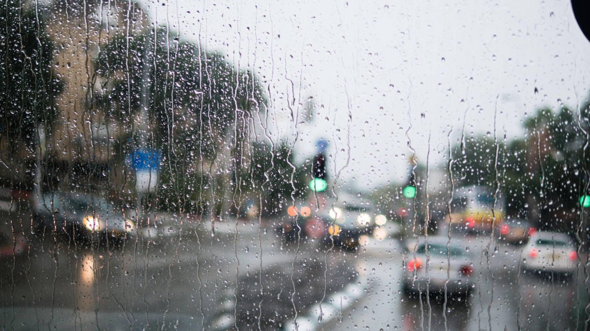 Jordan’s average seasonal rainfall rises after recent precipitation