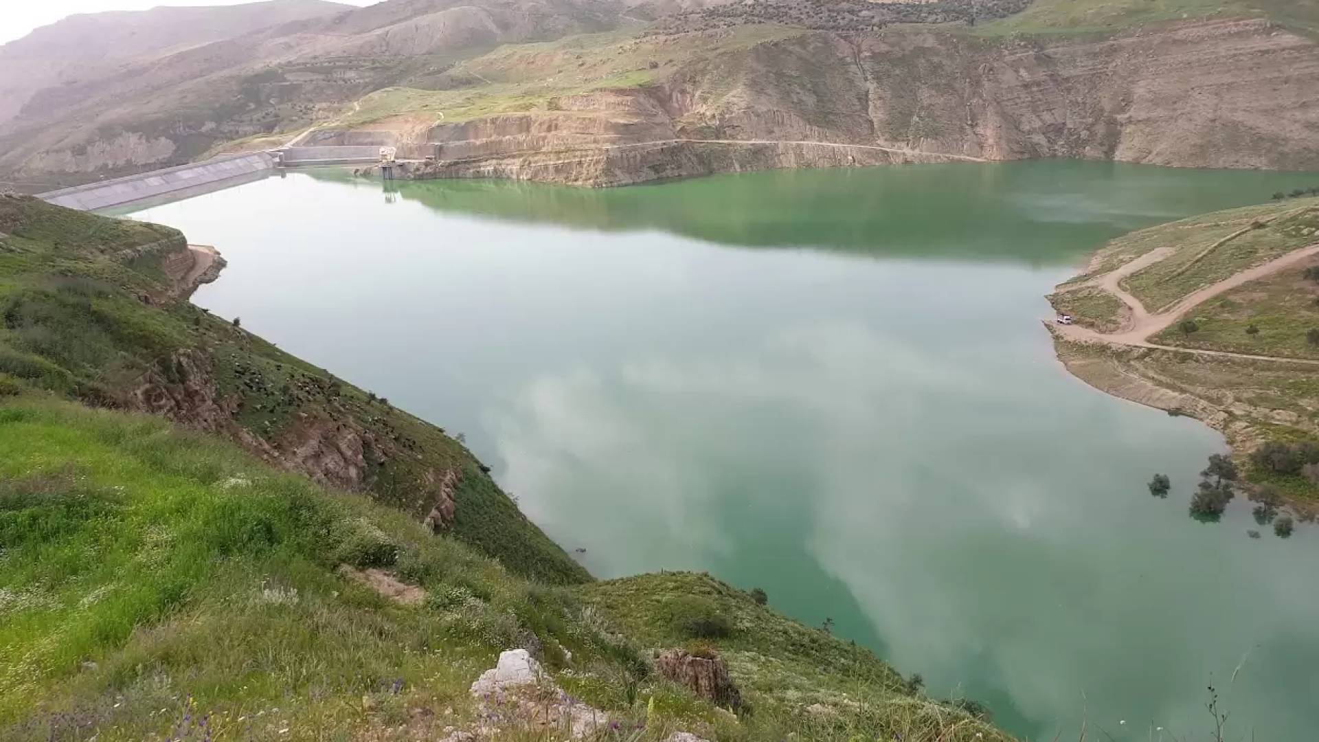 Woman dies in tragic car accident moments before iftar