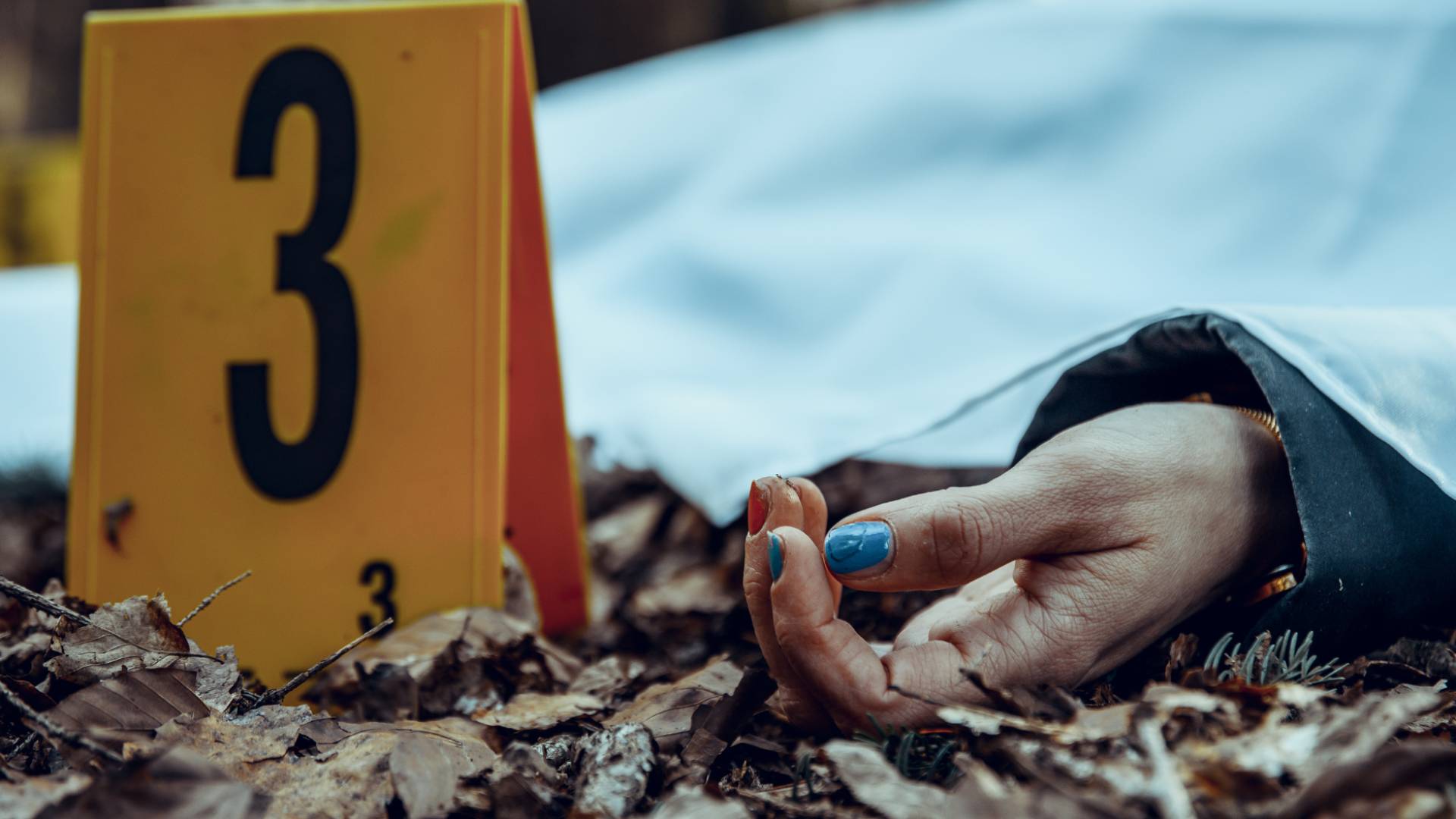 Man fatally shoots wife in Balqa; police hunt underway