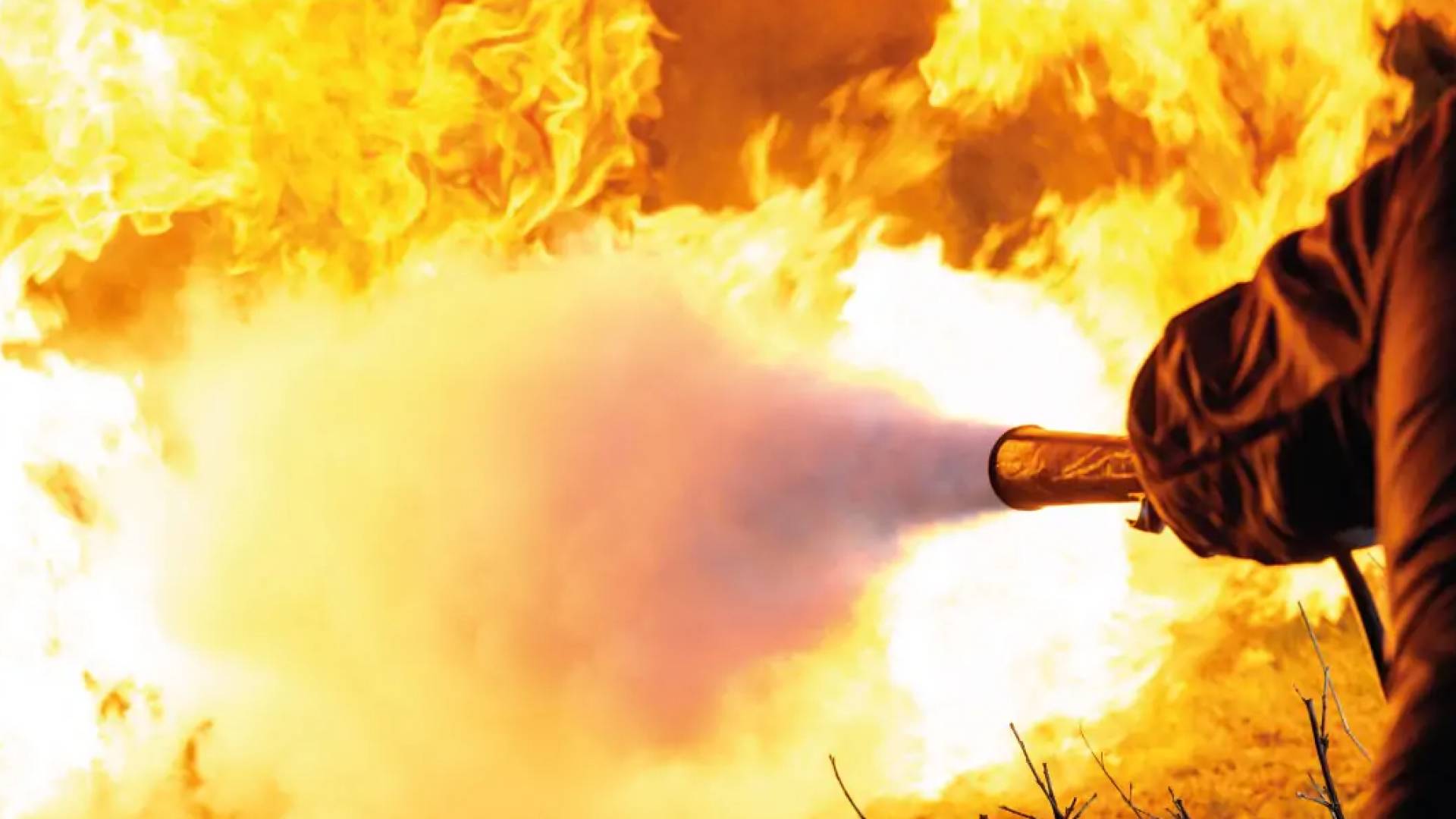 Authorities tackle 45 fires across Jordan in last 24 hours