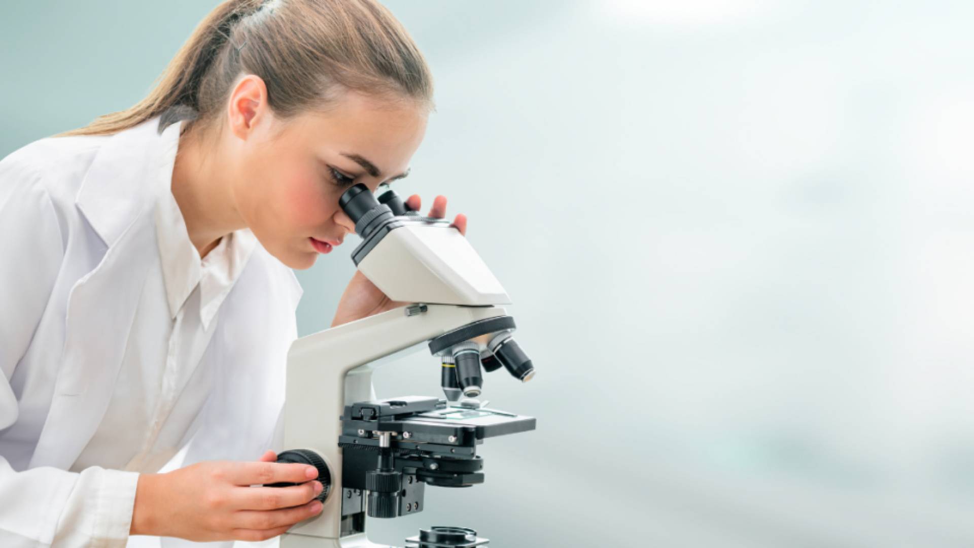 Jordan free of Crimean-Congo hemorrhagic fever for decades, says health official