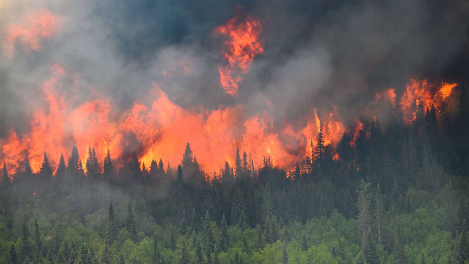 Public Security warns of wildfire risk as summer heat intensifies