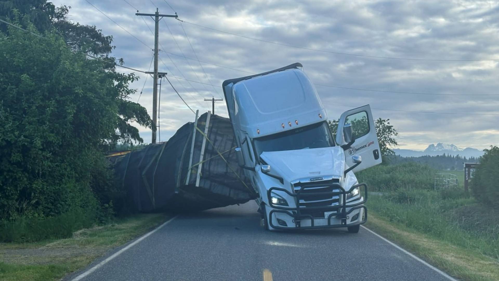 Quarter billion bees escape after truck overturns in Washington