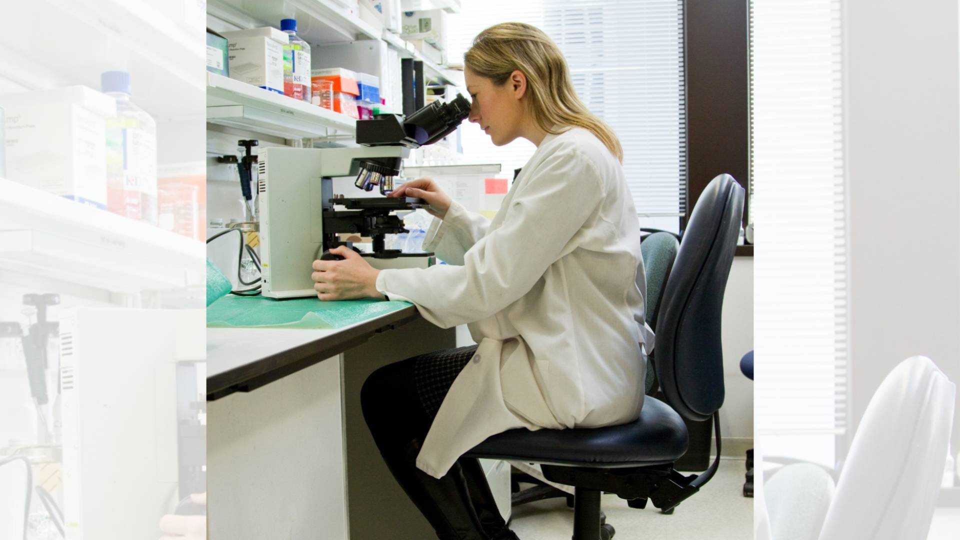 Research Peptides: Exploring their multifaceted implications