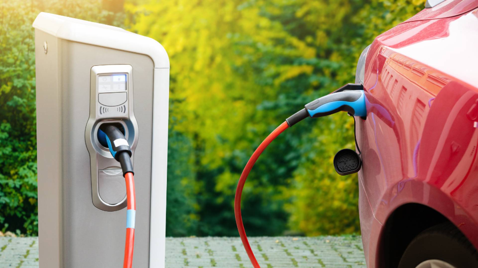 Jordan cuts customs duties on imported vehicles