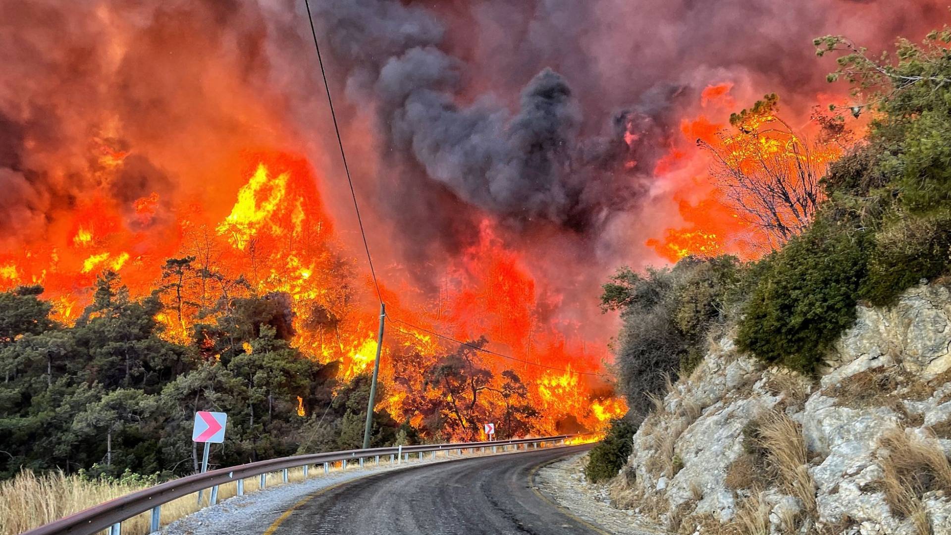 Over 50,000 evacuated as wildfires rage for second day in Turkiye’s Izmir