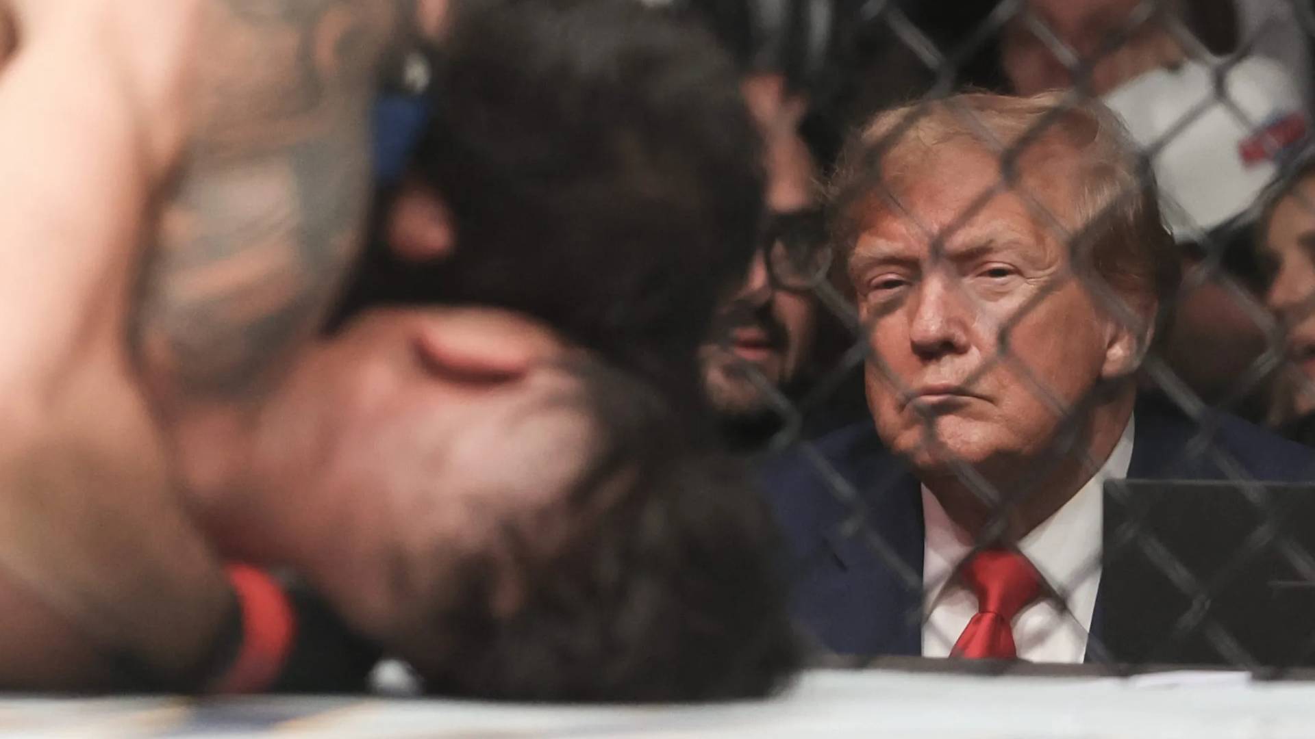 Trump announces UFC fight hosted at White House