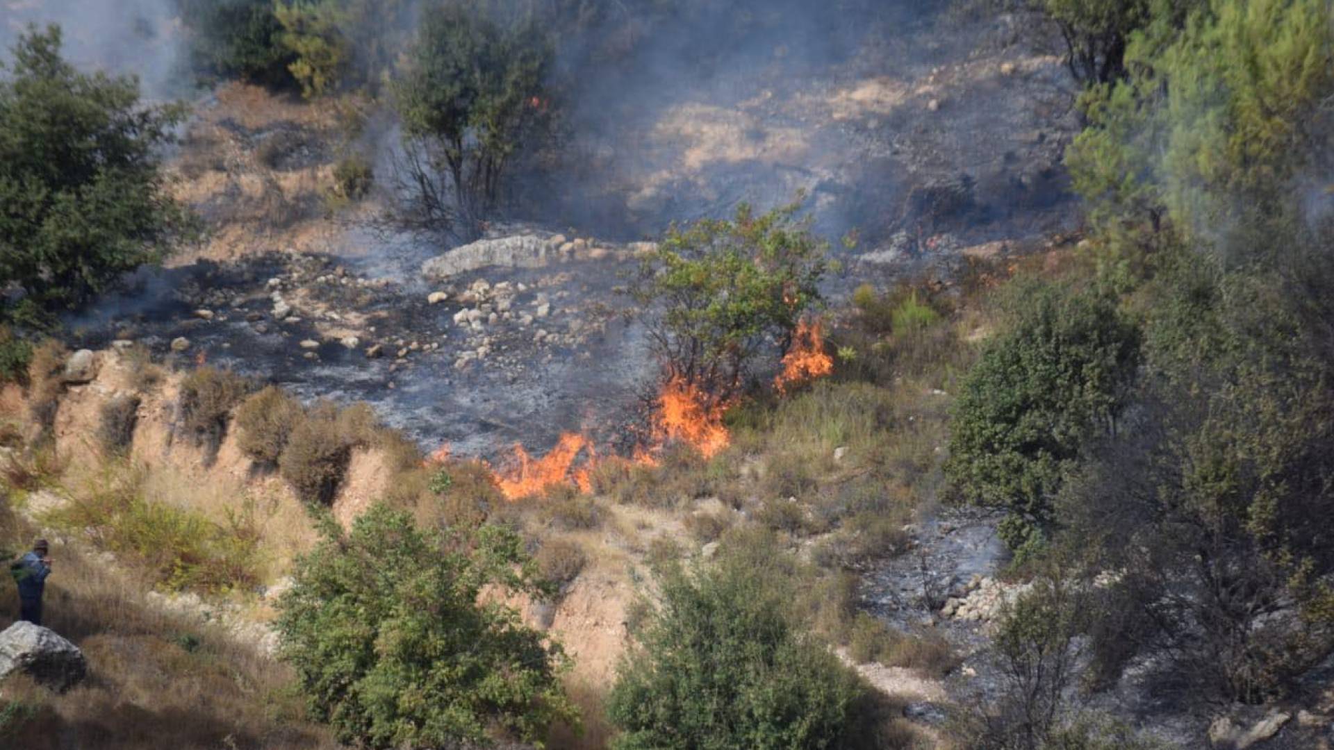 VIDEO: Royal Air Force responds to massive forest fire spreading in northern Jordan