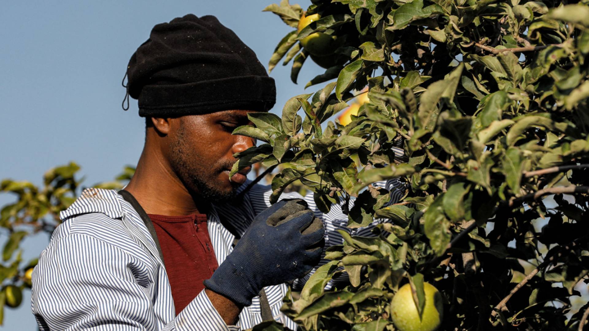 India sends over 20,000 workers to 'Israel' as Palestinian labor ban deepens