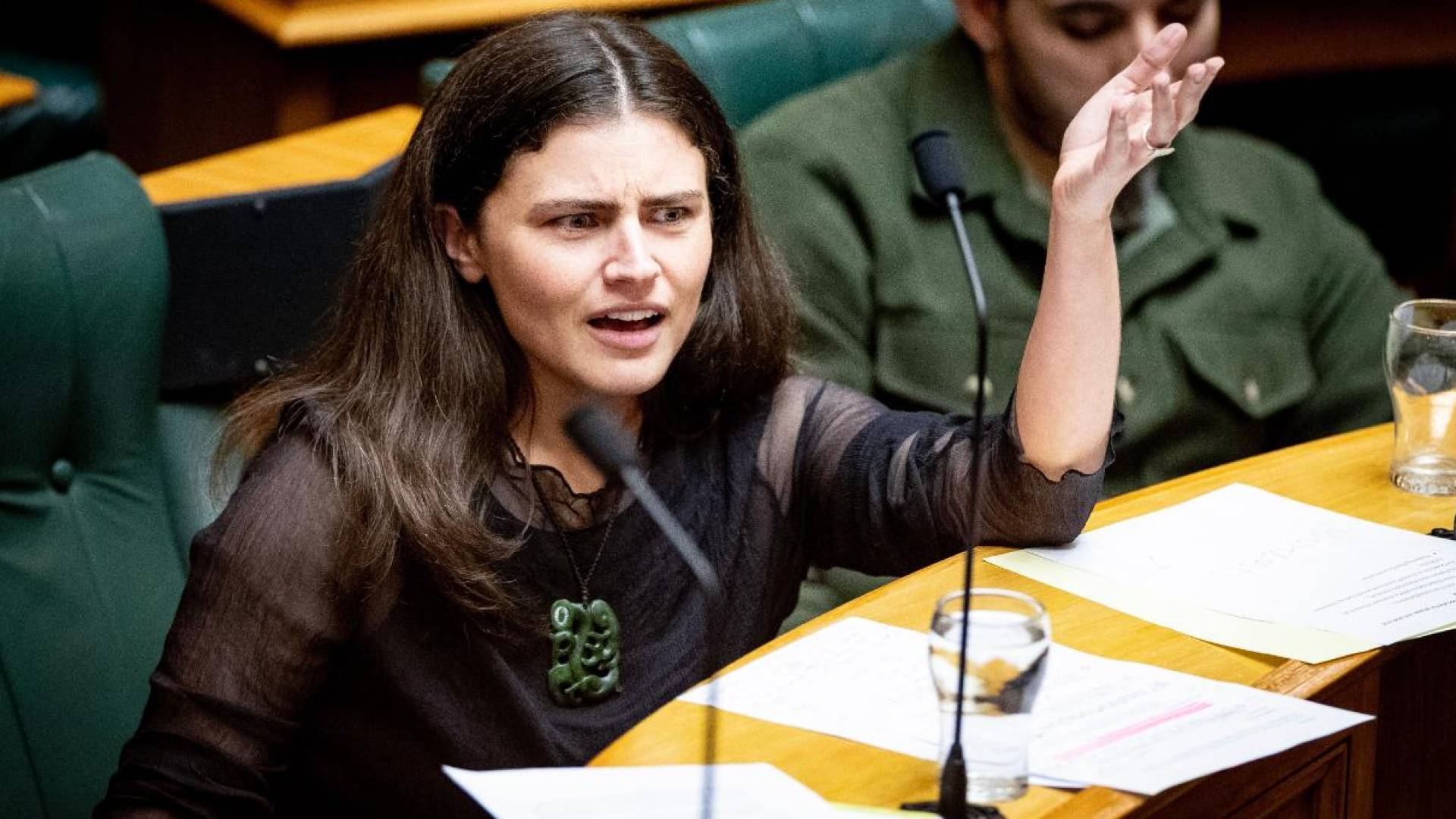 New Zealand MP suspended after pushing for sanctions on 'Israel'
