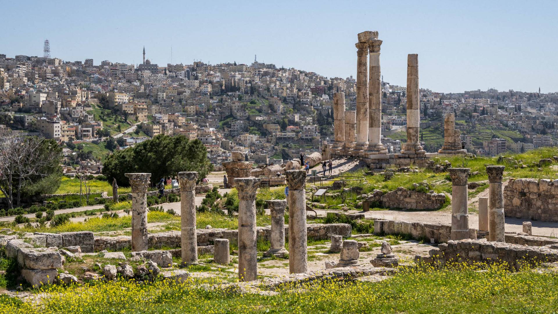 Mild weather expected until Tuesday in Jordan: Meteorological Department