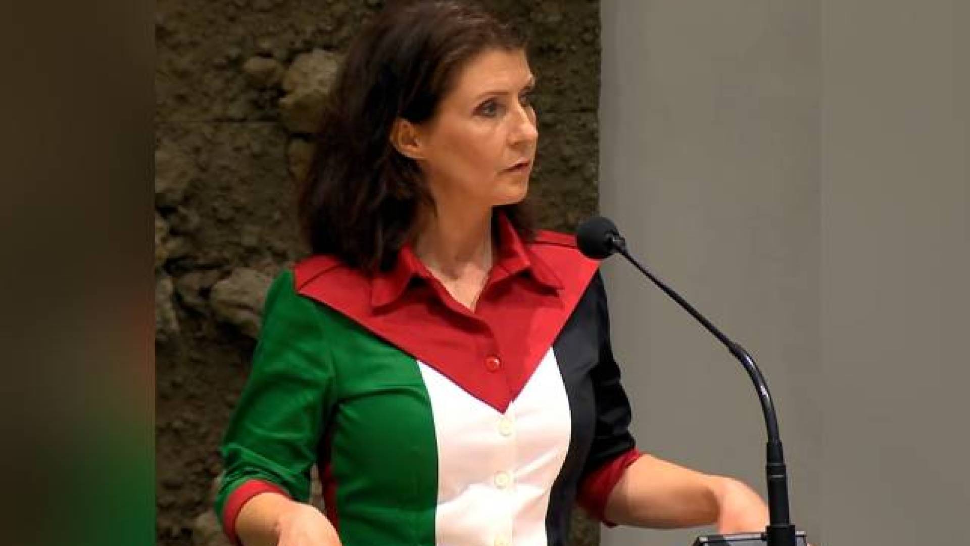 Dutch MP leaves over Palestinian flag shirt, returns in watermelon print