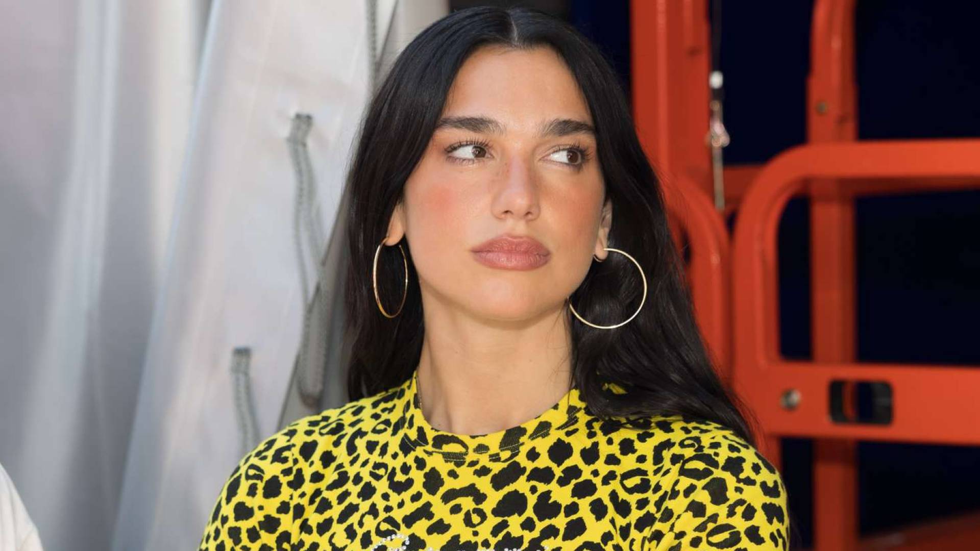 Dua Lipa denies firing agent David Levy for pro-’Israel’ views