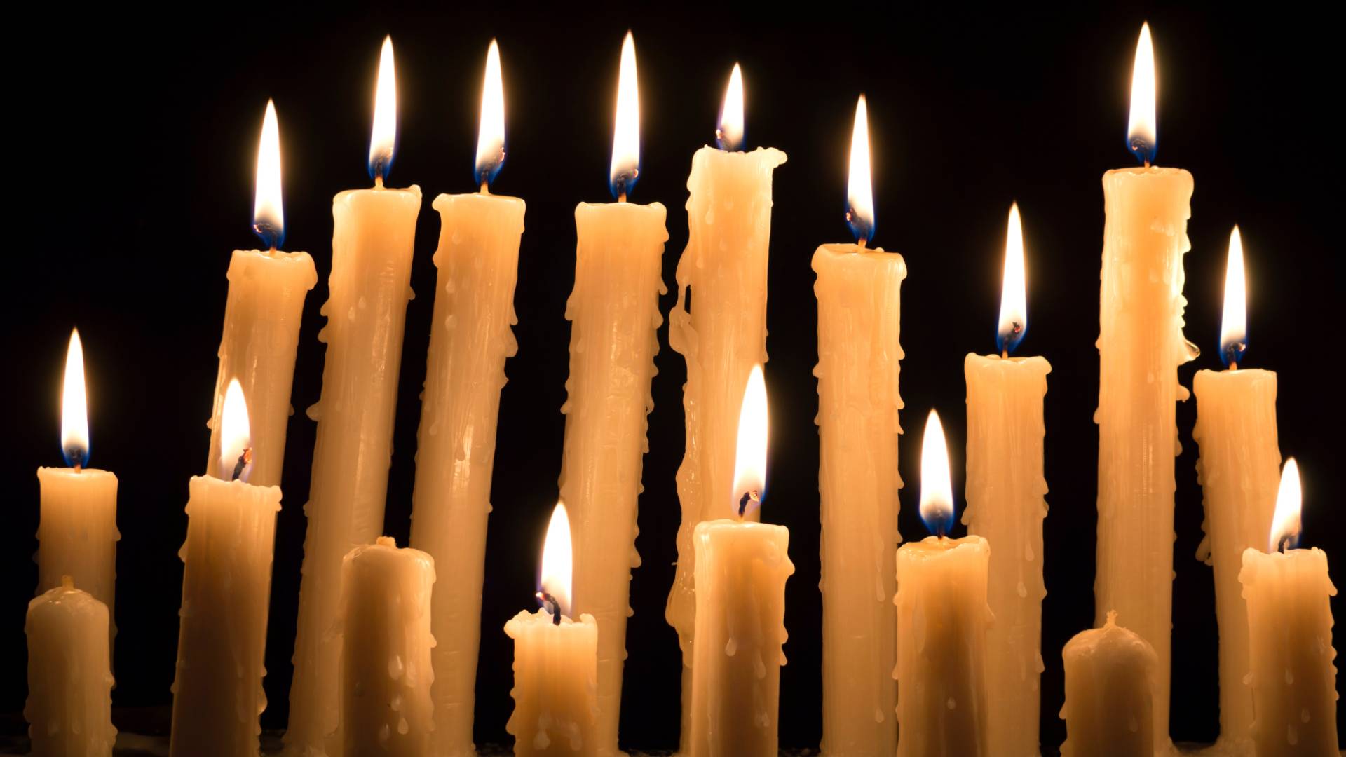 Roya investigation exposes scam witchcraft ring in Jordan