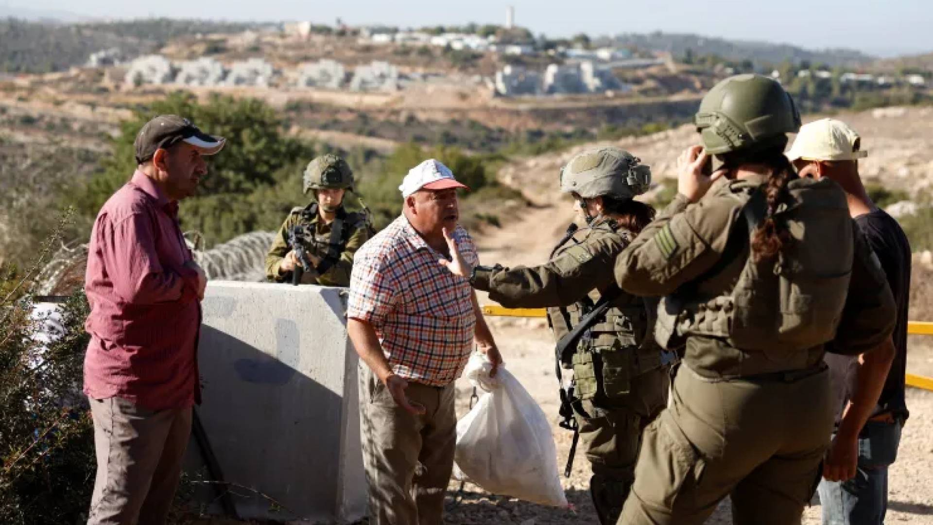 'Israeli' settlers continue attacks on olive harvesters; 'Israeli' army arrests nine Palestinians