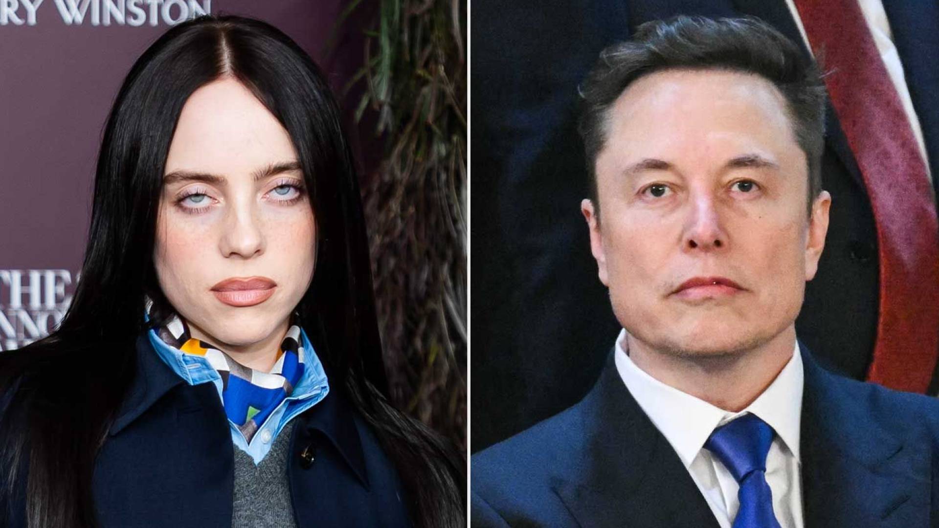 Musk calls Billie Eilish “not the sharpest tool in the shed” after criticism